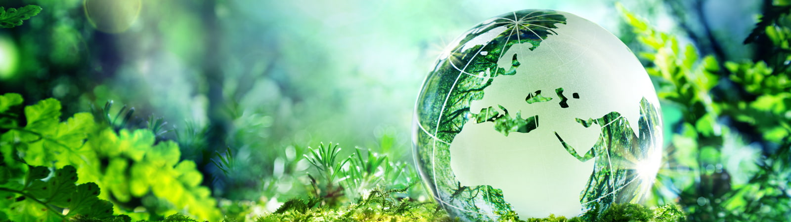 Sustainability